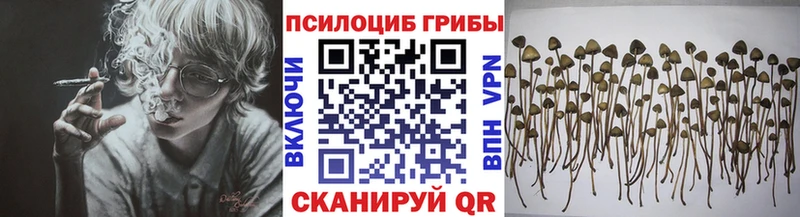 Псилоцибиновые грибы прущие грибы  где можно купить наркотик  Закаменск 
